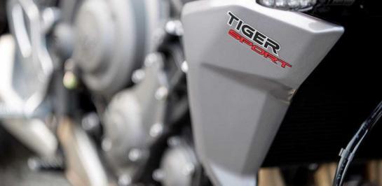 ภาพร่างจริงของ 2022 Triumph Tiger Sport 660