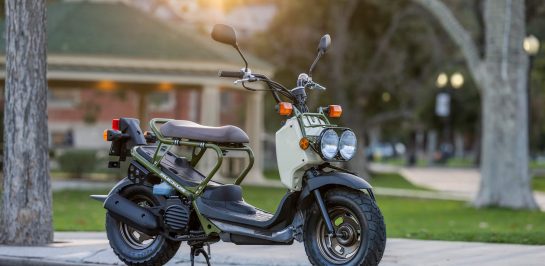 Honda Ruckus 2025 รถสกู๊ตเตอร์อเนกประสงค์สุดแนว รุุ่นใหม่!